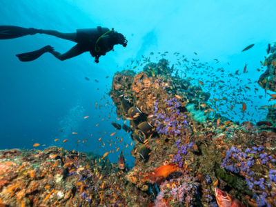 Scuba at Parrot Cay, Turks and Caicos