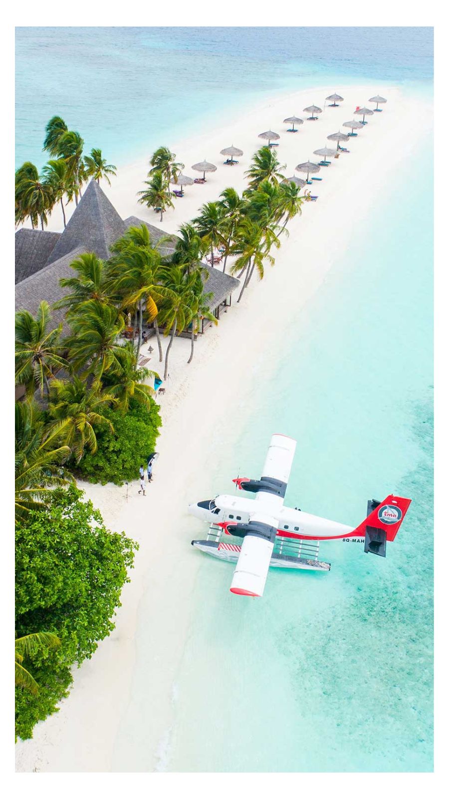 Maldives Plane Parked Beside Trees On Seashore